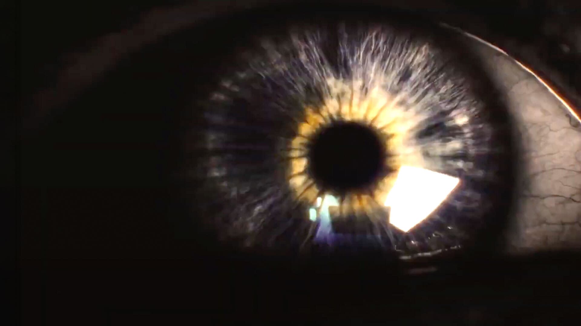 A Fantástica Fábrica da Sanidade