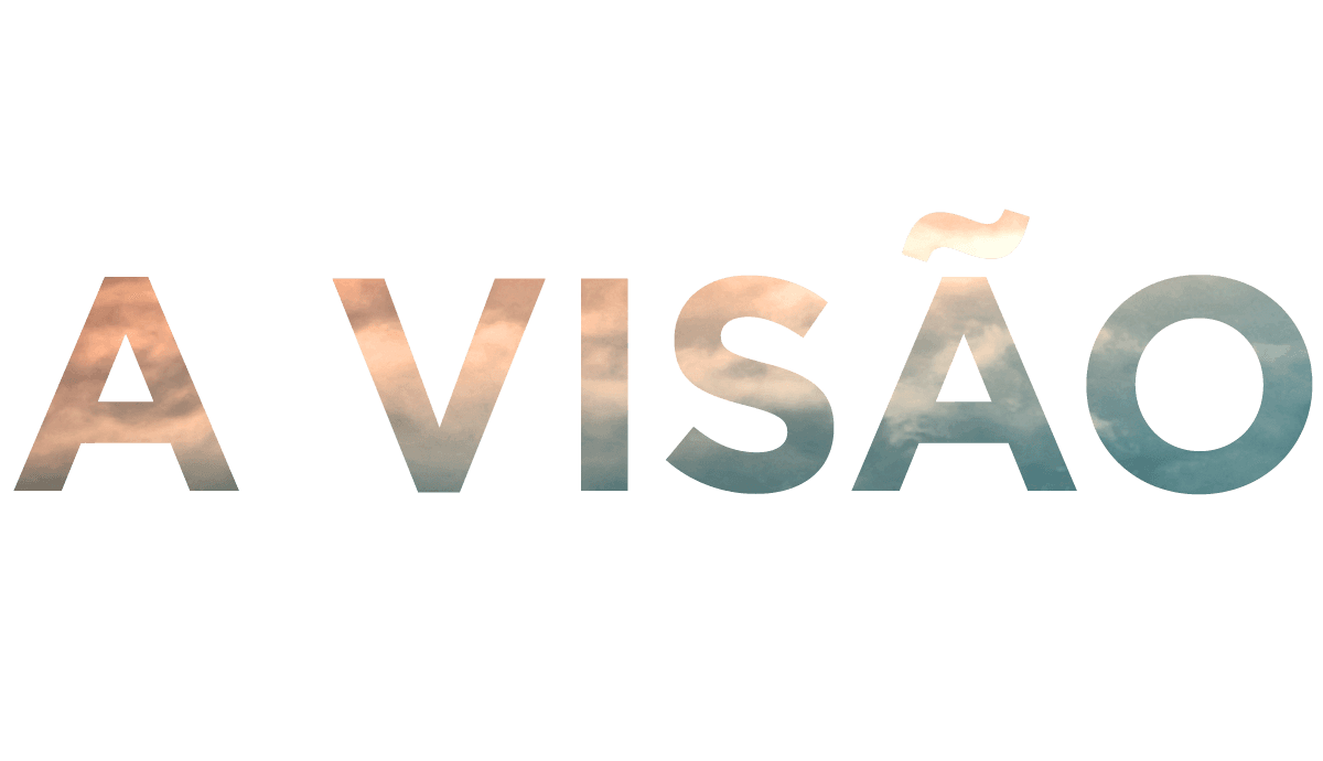 A Visão