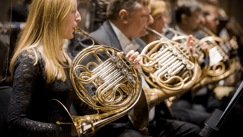 Conheça a Orquestra - imagem 3