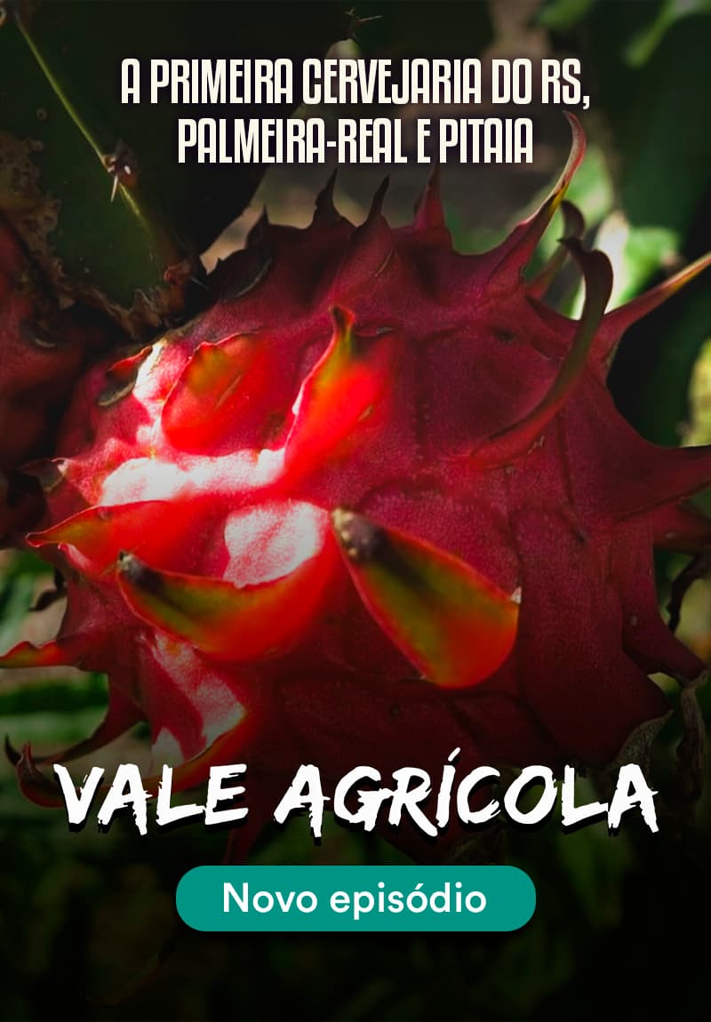 Vale Agrícola