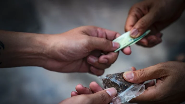 Tráfico de Drogas