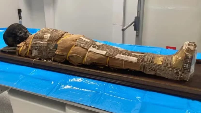 Múmia da Universidade de Wroclaw