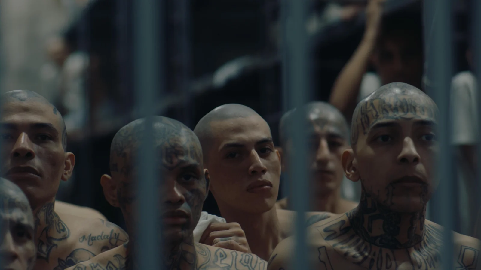 Membros do MS13 presos em El Salvador