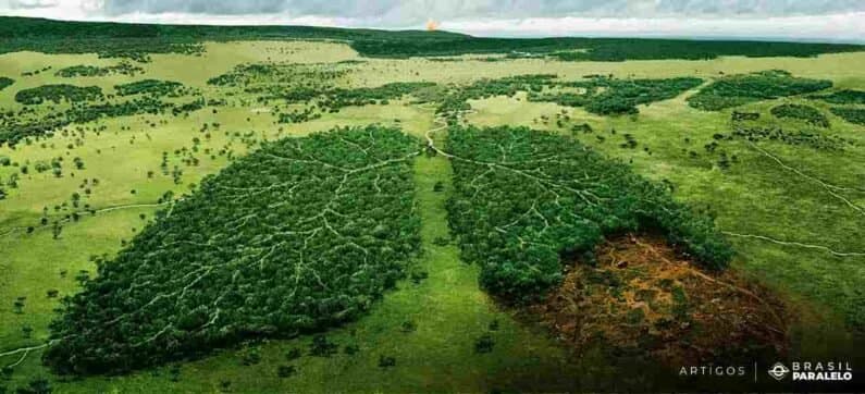 A Amazônia Não é o Pulmão do Mundo