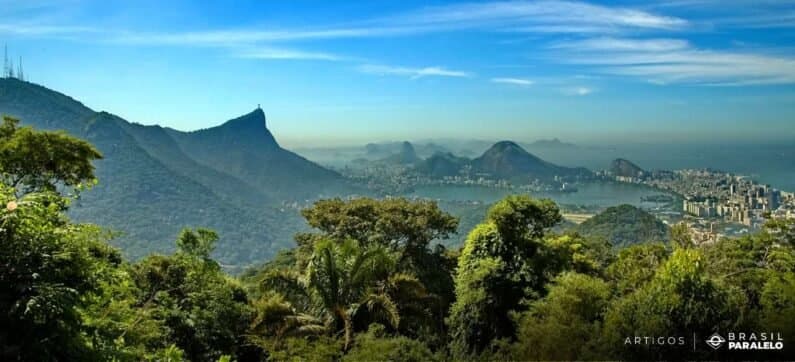 Código Florestal Brasileiro