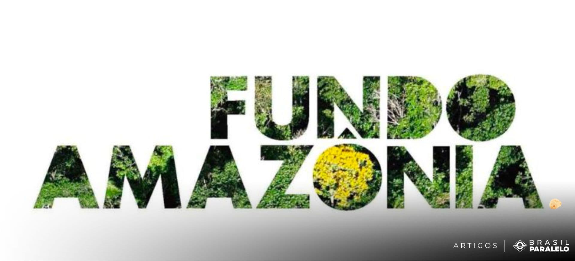 Fundo Amazônia