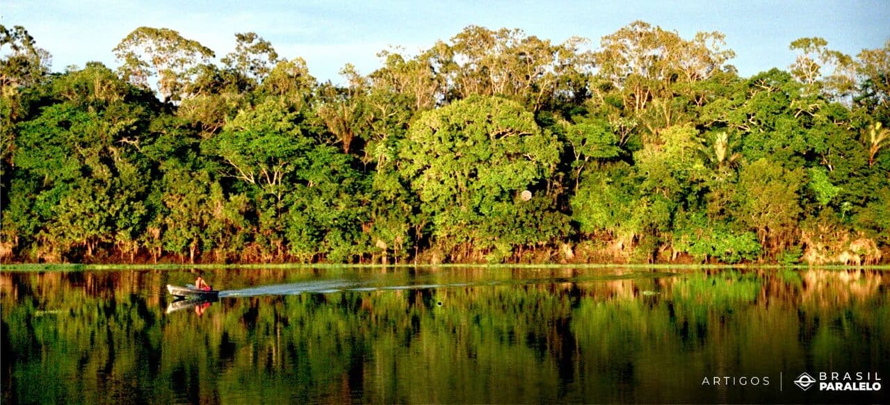 Documentário sobre queimada na Amazônia