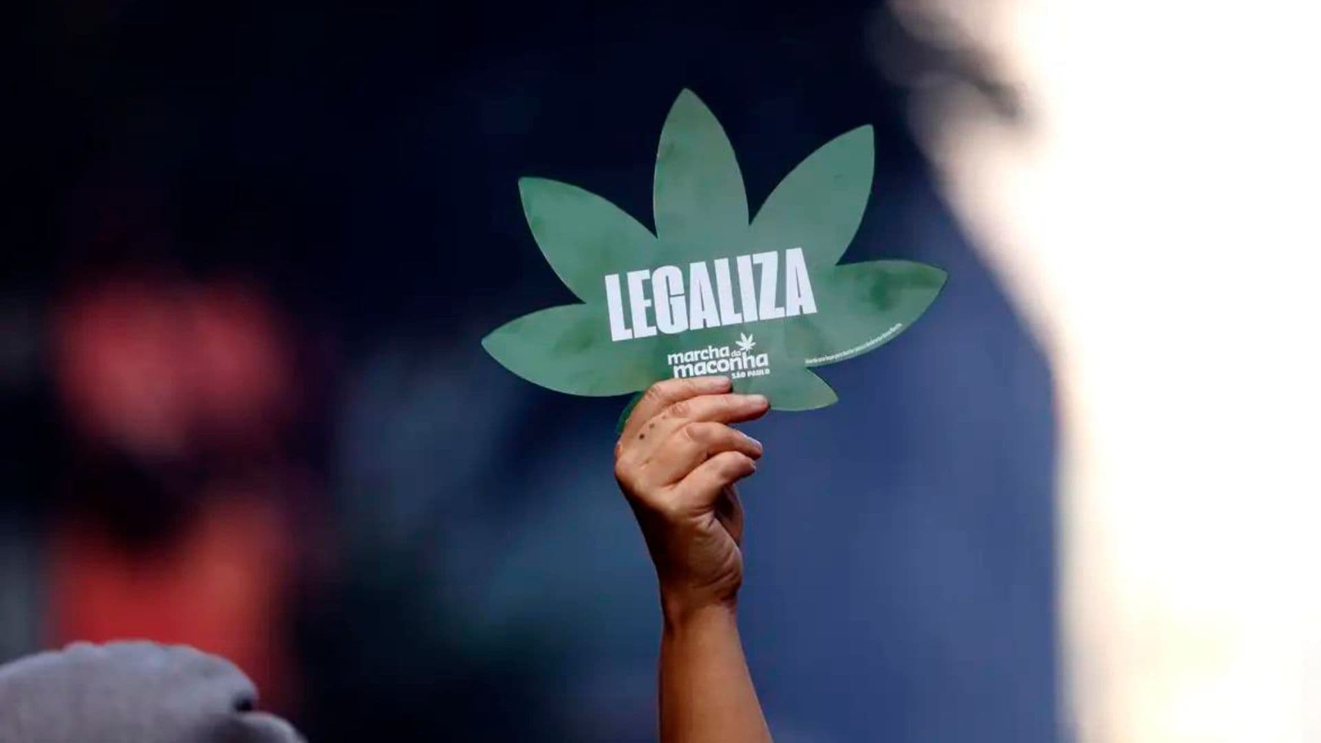 cartaz em forma de erva pedindo pela legalização da maconha.