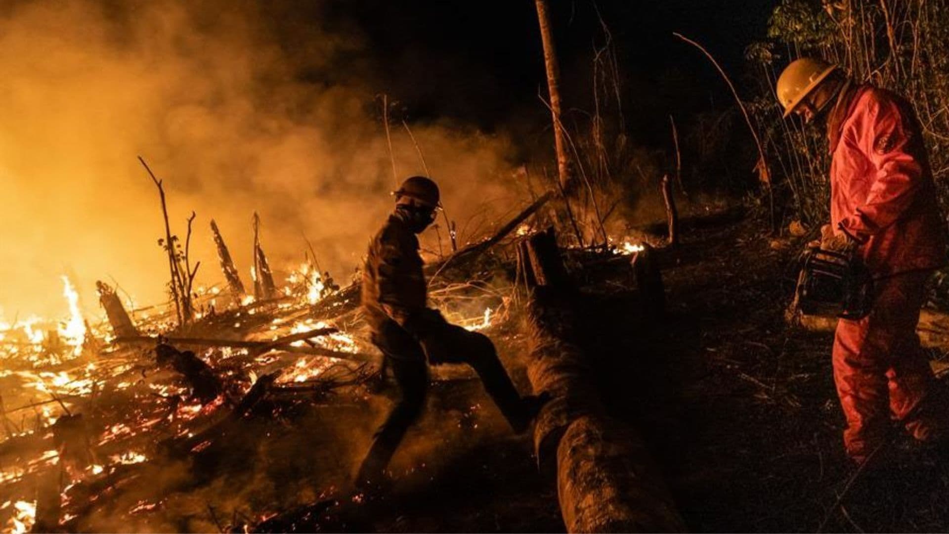 Estados brasileiros são impactados pelos altos índices de queimadas.