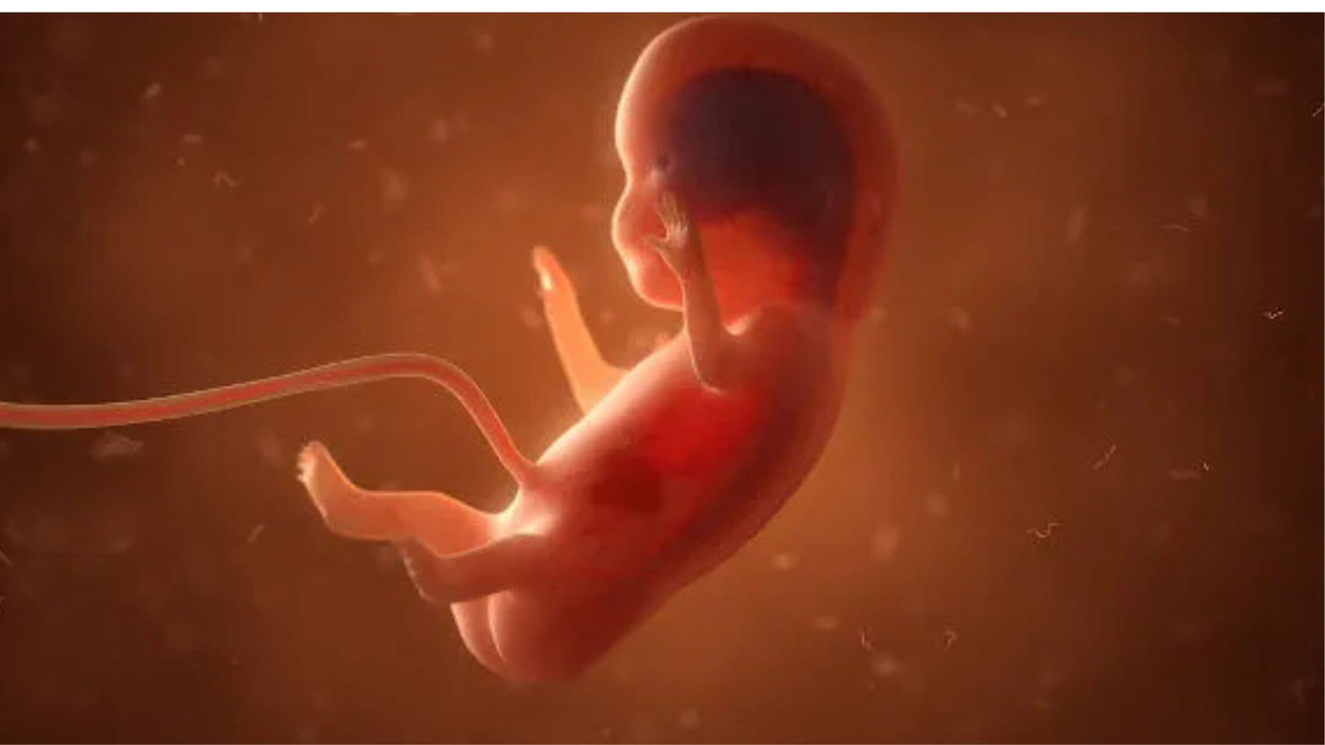 Instituições entram no STF para que enfermeiros possam realizar aborto