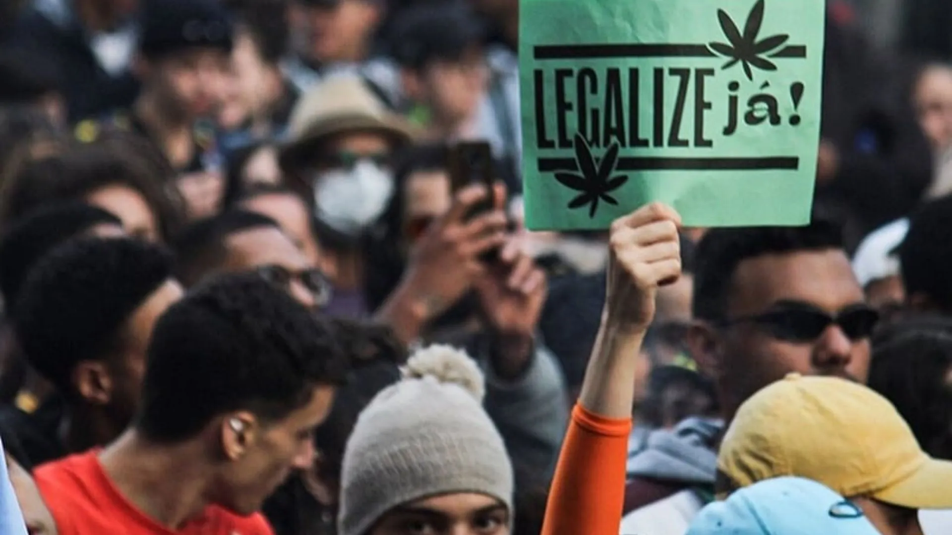 Marcha da maconha pedindo pela legalização da erva.