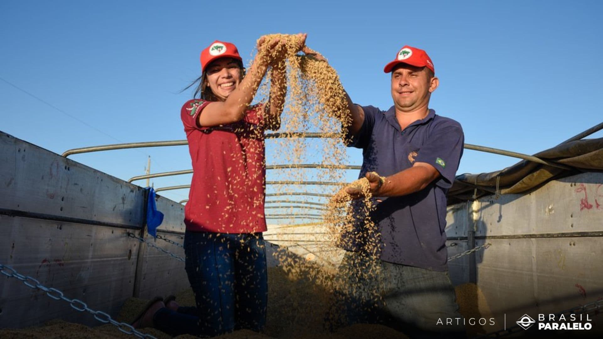 Arroz orgânico do MST
