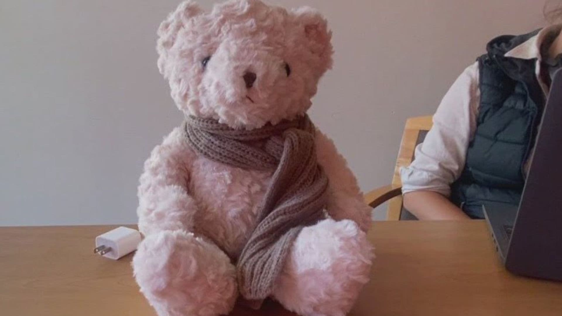 Urso Kumma, IA acusada de falar sobre sexo para crianças