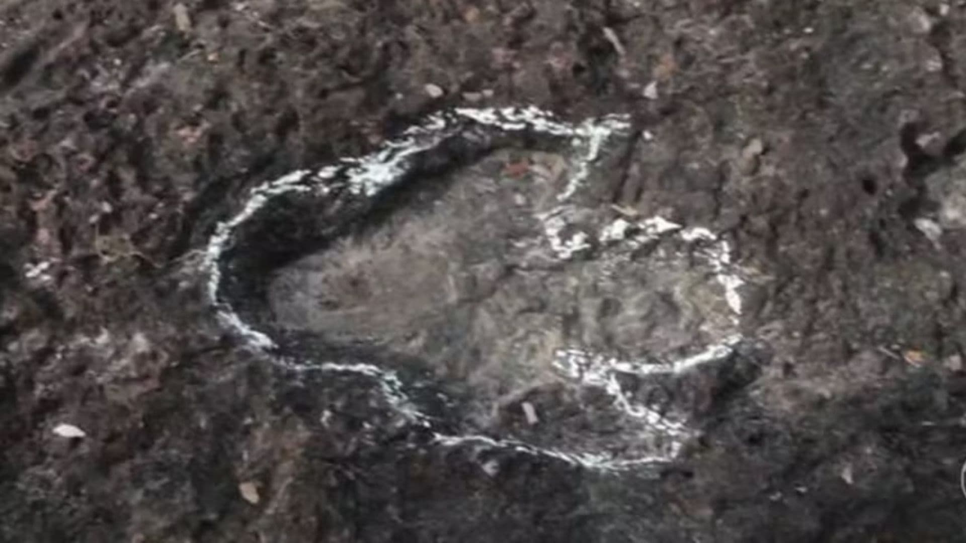 Pegada de dinossauro encontrada na região amazônica.