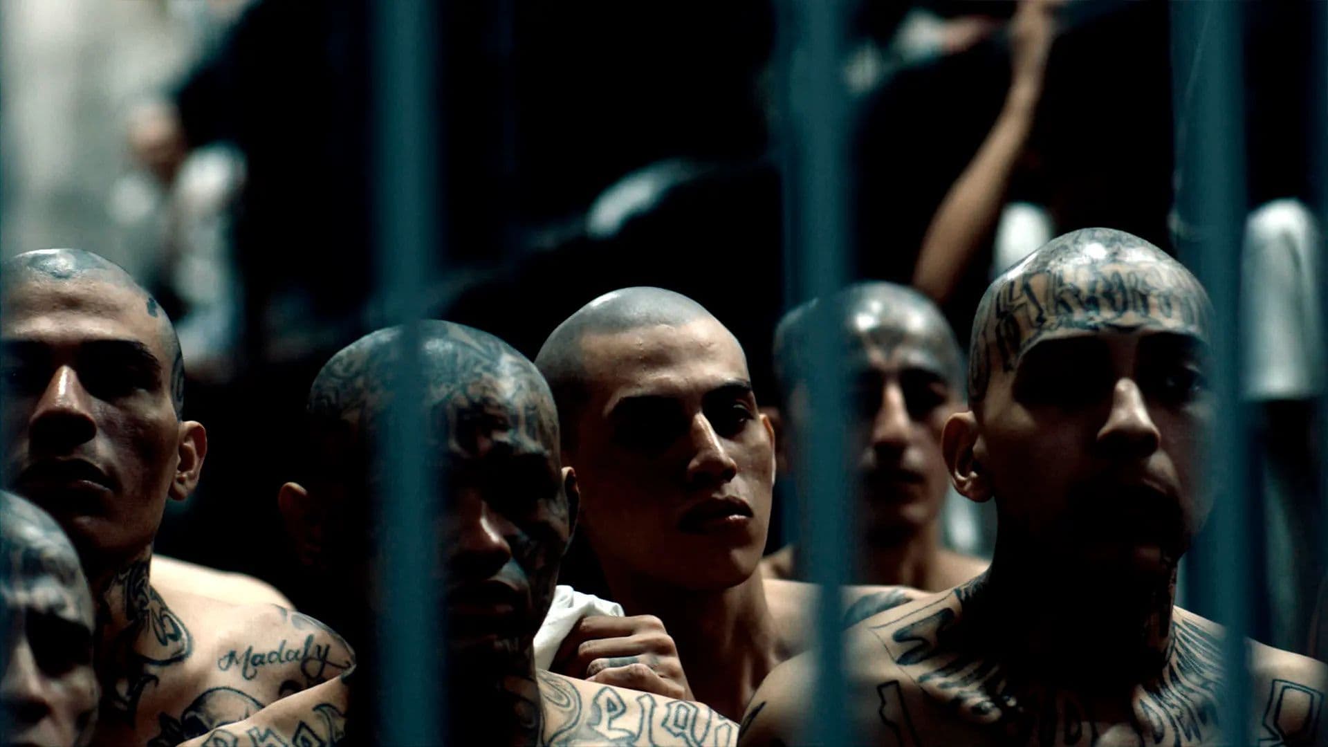 Imagem de criminosos na prisão de segurança máxima de El Salvador.