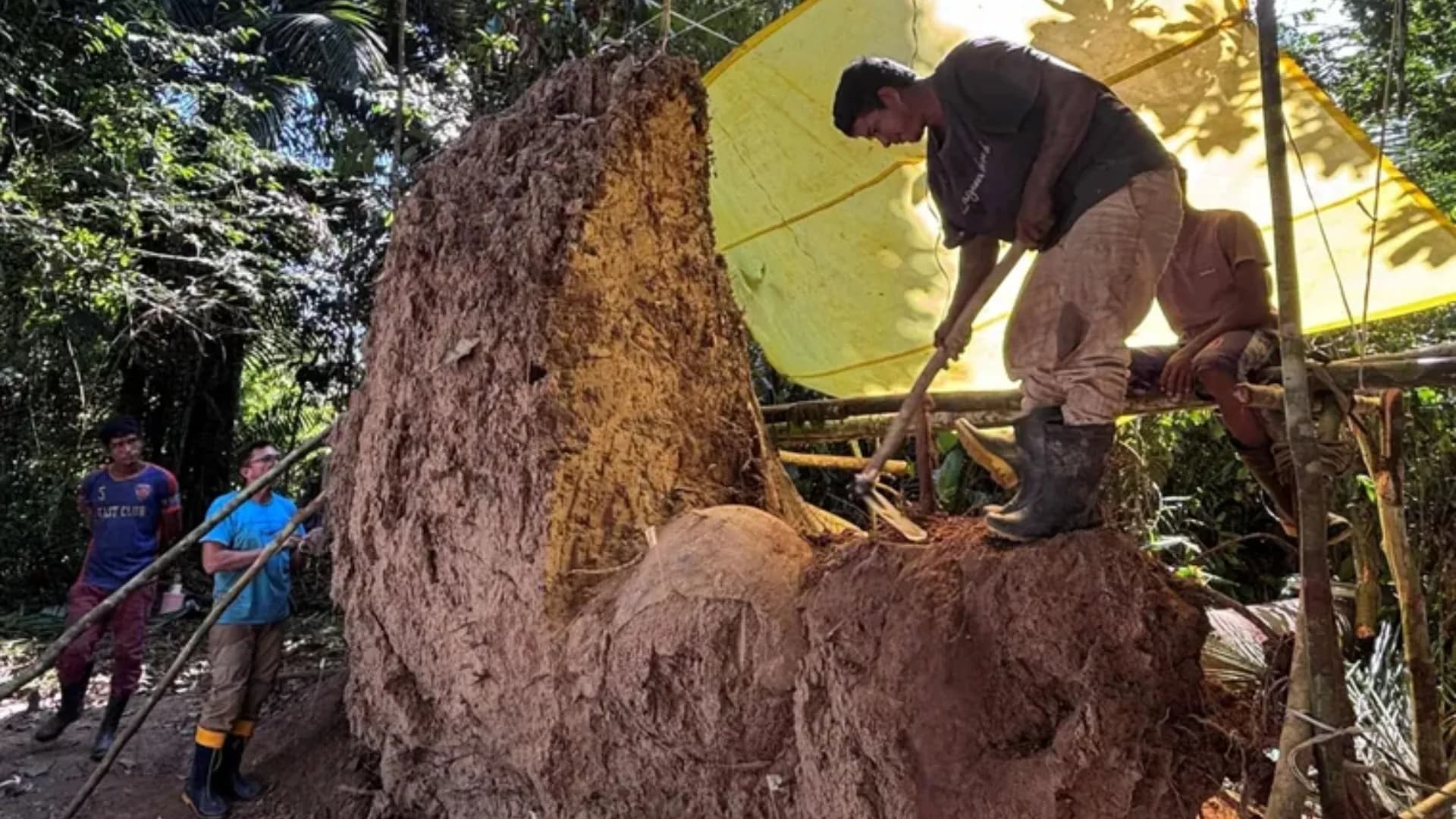 Descoberta na amazonia