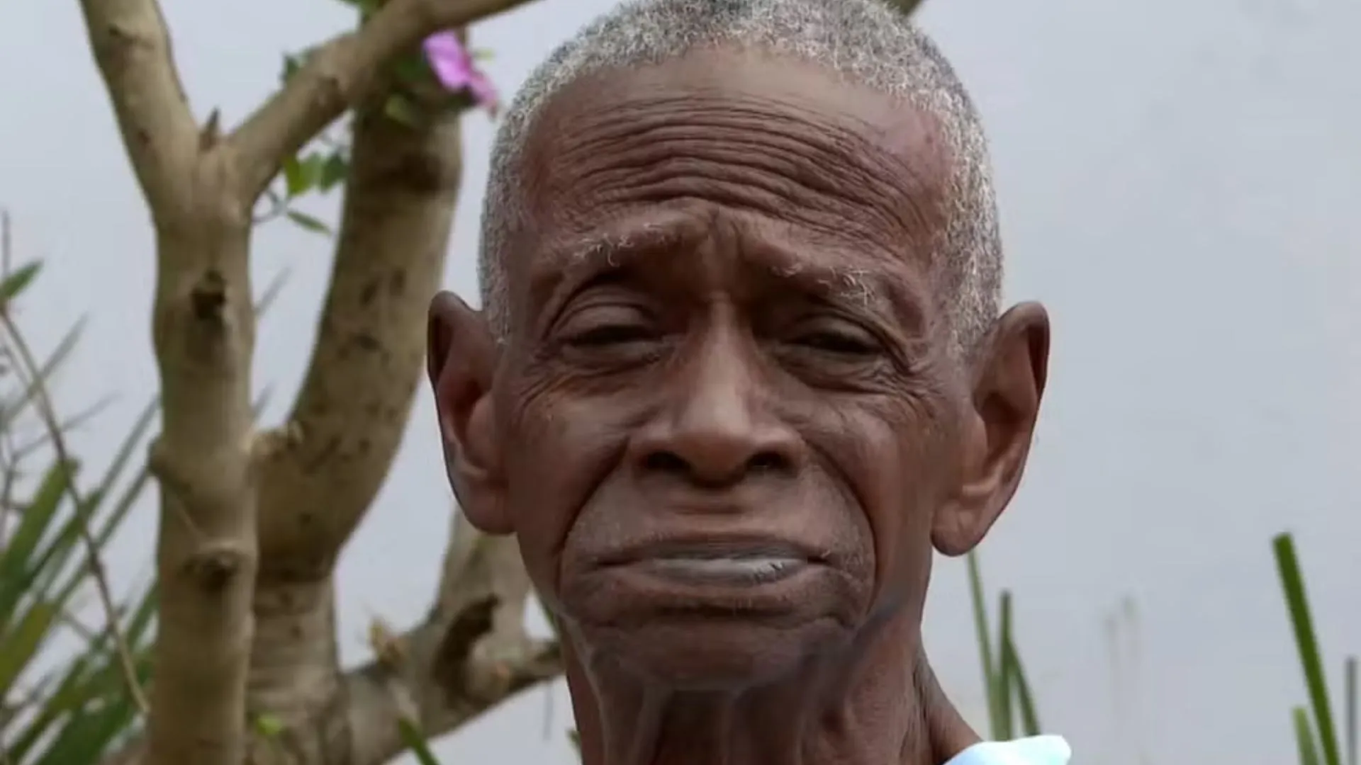 Retrato de Seu Luizinho, um senhor negro de 118 anos, vestindo uma camisa polo azul. Ele olha para a câmera com uma expressão serena
