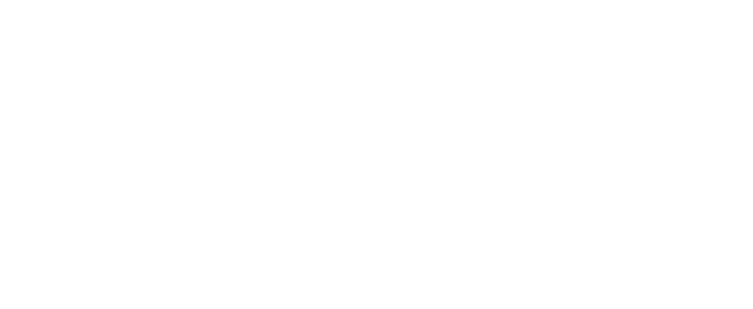 A Origem do Sistema Eleitoral