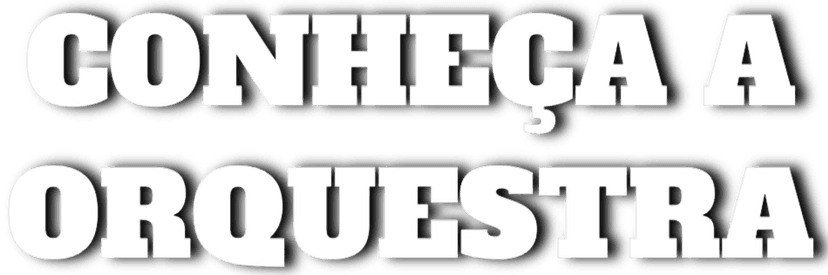 Conheça a Orquestra