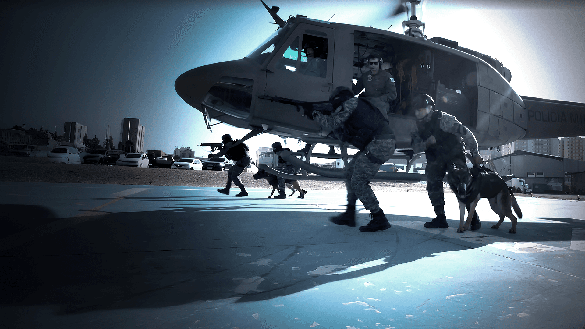 Heróis em Foco: Batalhão de Ações com Cães (BAC)